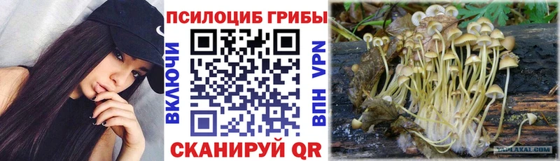 как найти закладки  Череповец  Галлюциногенные грибы мухоморы 